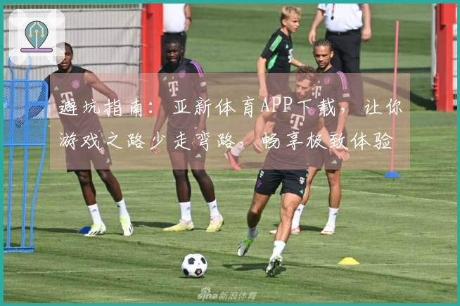 避坑指南：亚新体育APP下载，让你游戏之路少走弯路，畅享极致体验。